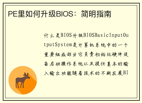PE里如何升级BIOS：简明指南